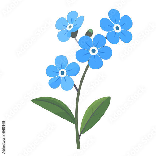 Delicate Blue Forget-Me-Not Illustration