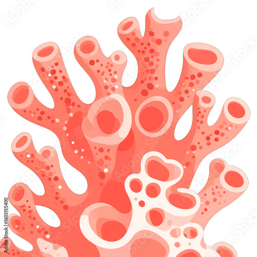 Detailed Coral Branch Illustration
