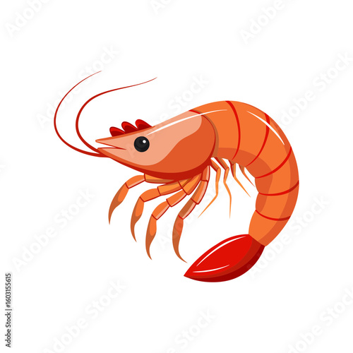 shrimp vector art illustration