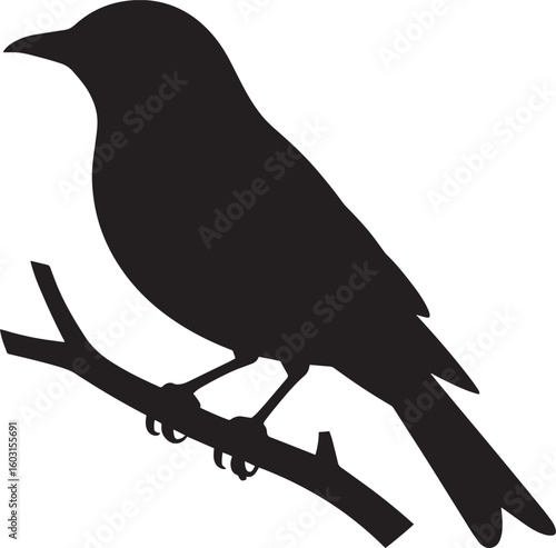 Black silhouette of a small bird perched on a branch vector