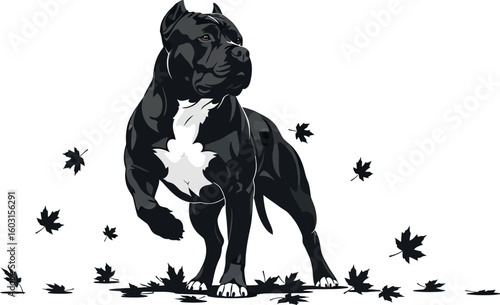 Illustration of a muscular black and white pitbull dog standing amidst falling maple leaves