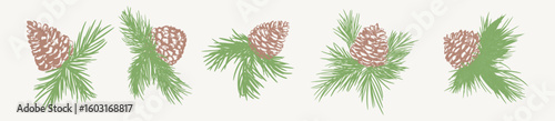 Set of hand-drawn pine cones with green branches on a light background. Perfect for holiday cards, winter decor, rustic themes, forest illustrations, and natural product packaging