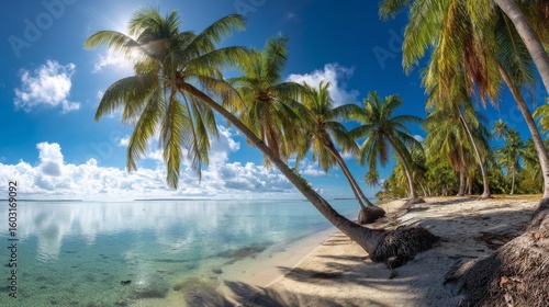 Tropical Beach Paradise Leaning Palms, Azure Water and Sunny Sky,Beach , Palmtrees