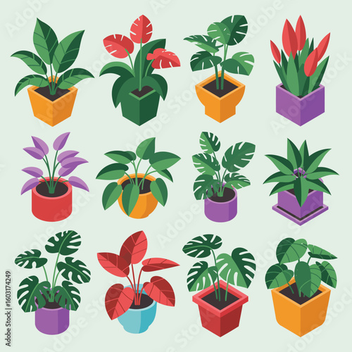 Collection of vibrant potted houseplants in geometric pots