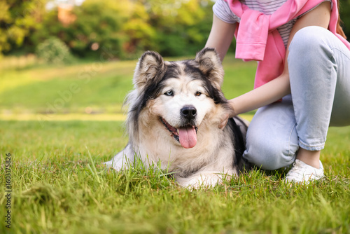 Fotografia Woman with her cute Alaskan malamute dog on green grass outdoors in morning, clo