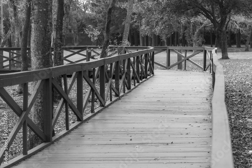 Ray Miller Park - Houston