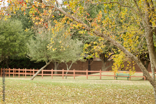 Ray Miller Park Houston