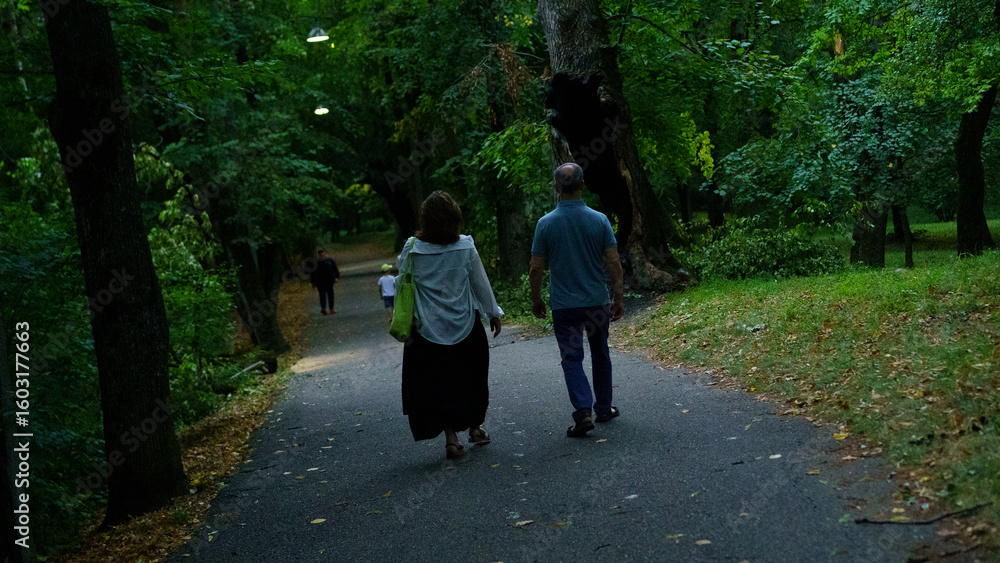 Fototapeta premium Couples stroll through a serene park path surrounded by lush greenery in the early evening light