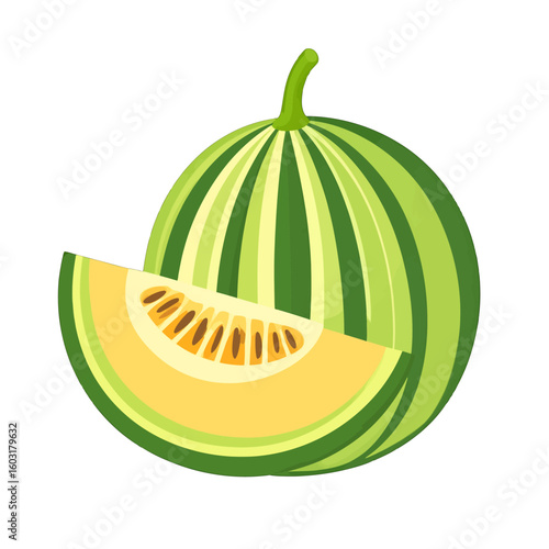 Colorful Watermelon And Cantaloupe Slice Illustration