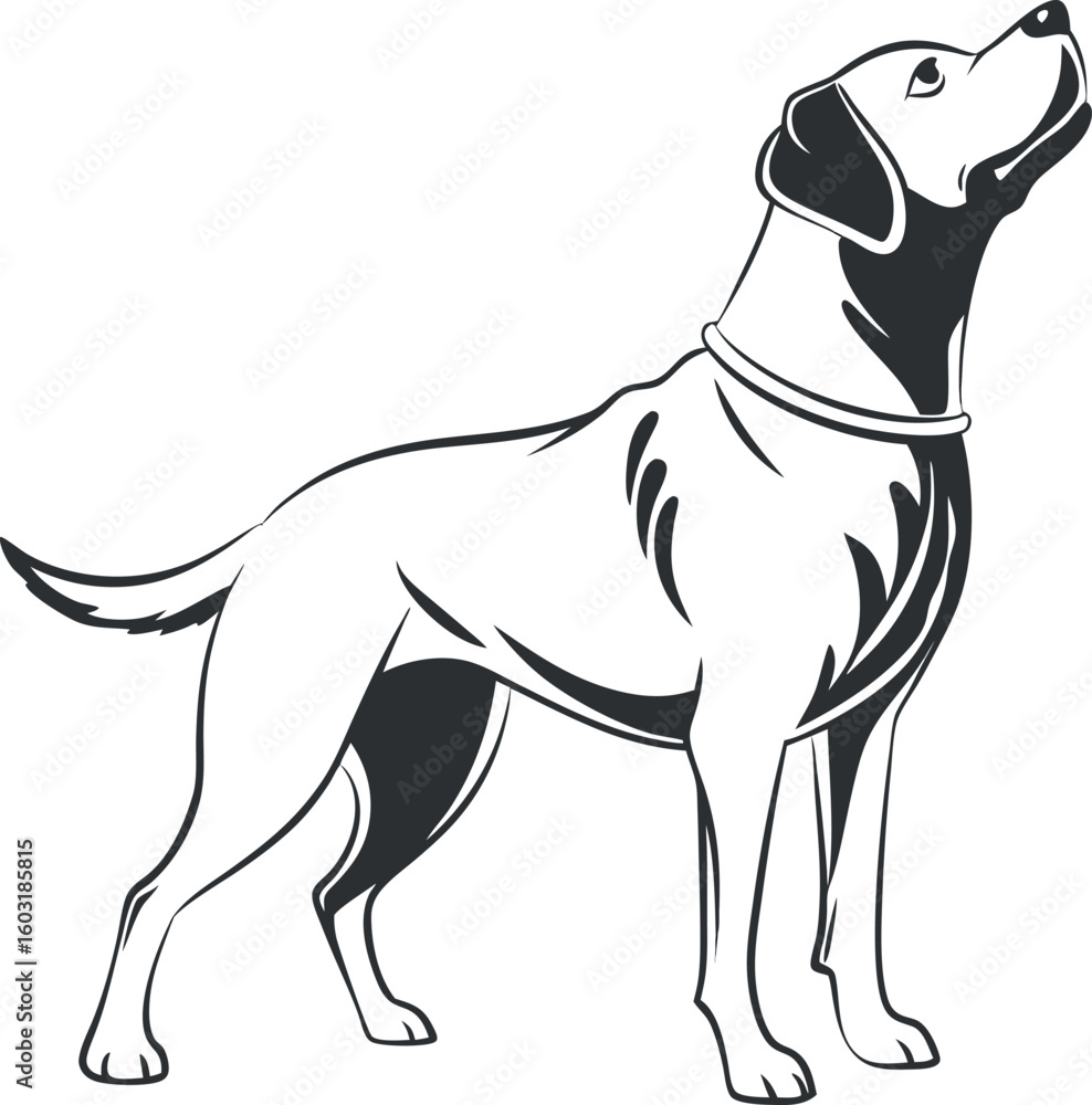 Fototapeta premium vector illustration of a dog white background