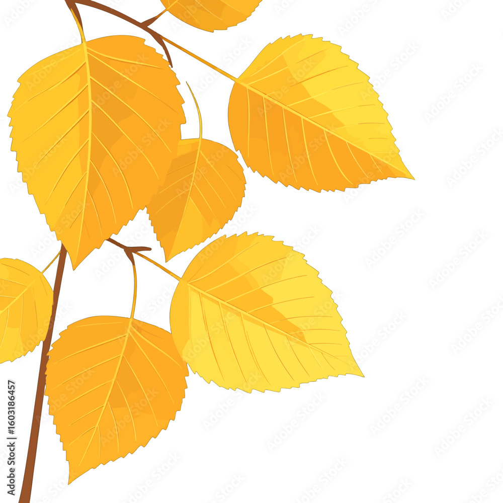 Fototapeta premium Autumn Leaves On Branch Against White Background