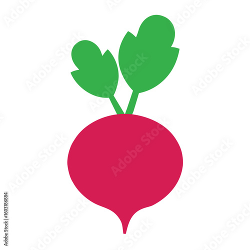 Radish