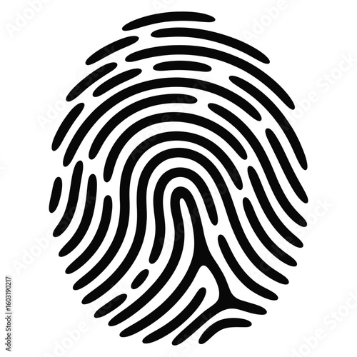 Fingerprint pattern vector