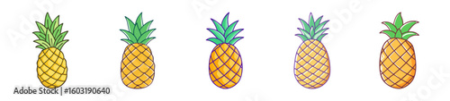 Tropical Pineapple Fruit Icons in Vector Style