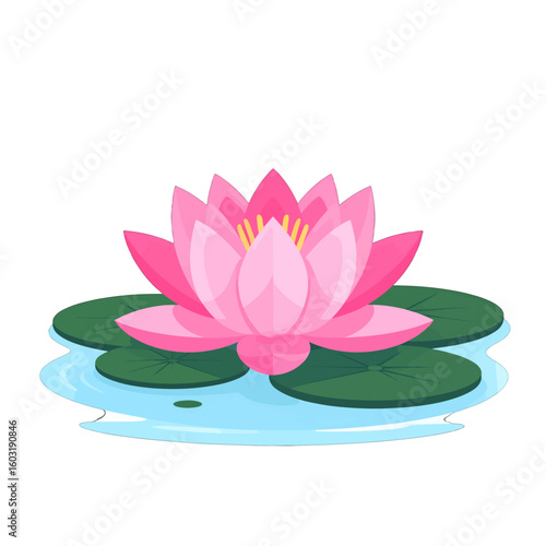Pink Lotus Flower In Water