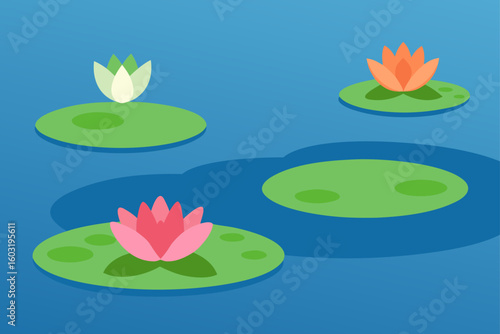 water lilies in calm pond
