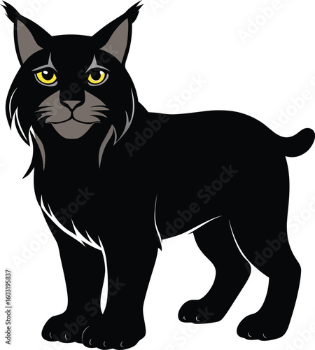 Vector black cat illustration