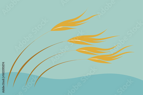 golden grass in soft breeze