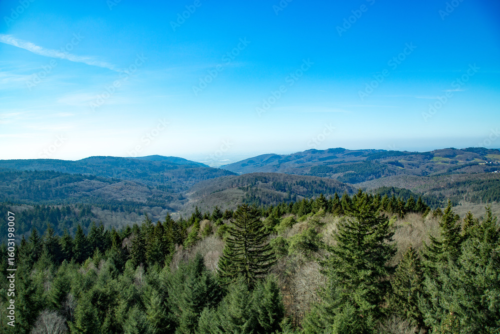 Fototapeta premium Vast Panorama of Endless Verdant Forested Mountains