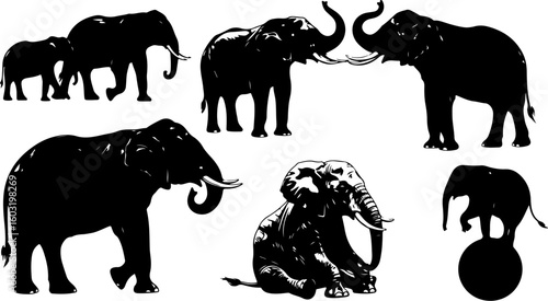 Vector art of group of elephants in various poses black silhouettes on white