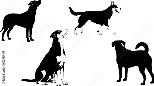 Vector art of four dog silhouettes in different poses on a white background