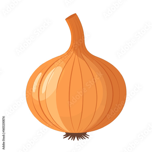Single Orange Onion Illustration