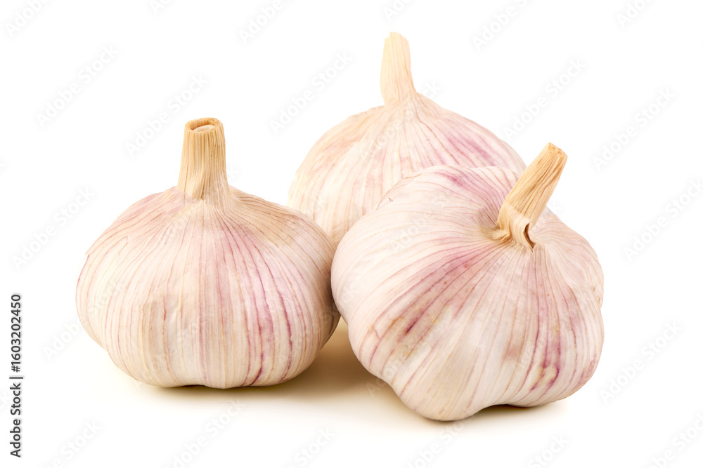 Fototapeta premium Three Garlic Bulbs, isolated on white background