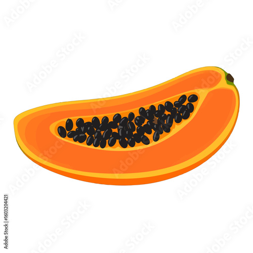 Illustrative Papaya Slice With Seeds