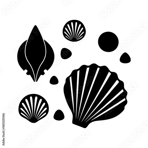 set of sea shells vector black silhouettes