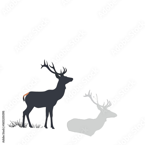Silhouette Deer With Shadow On White Background