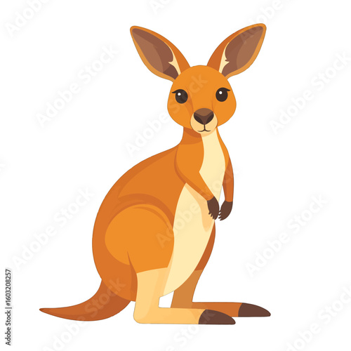 Cartoon Kangaroo Illustration