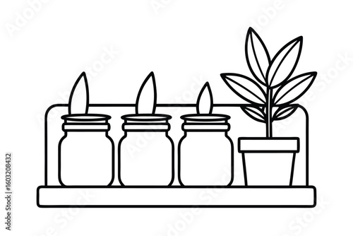 Line Illustration Of Plant Propagation Station