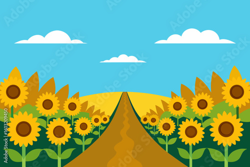 Flat illustration of a winding road through a vibrant sunflower field under a blue sky