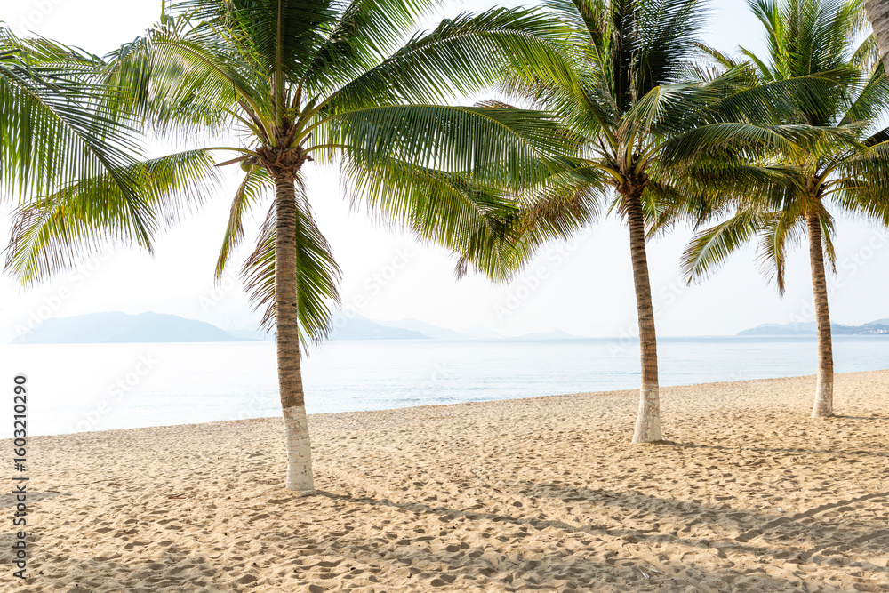 Obraz premium A tropical paradise in resort town of Nha Trang in Asia with palm trees and a sandy beach overlooking a blue sea background with islands. Tropical vacation concept.