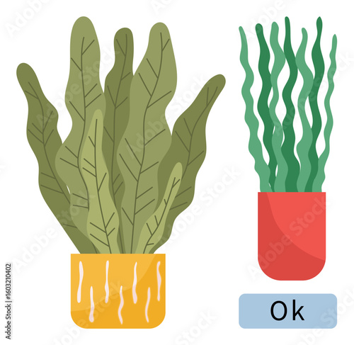 Two leafy plants in yellow and red pots one features broad leaves, the other wavy foliage. Ideal for nature, design, decoration, interior, minimalism, eco-lifestyle botany. A simple flat metaphor
