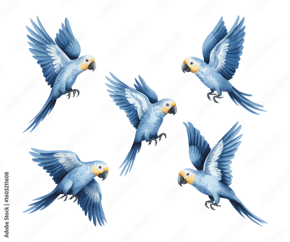 Obraz premium Watercolor blue parrots in flight vector illustration isolated on white background.