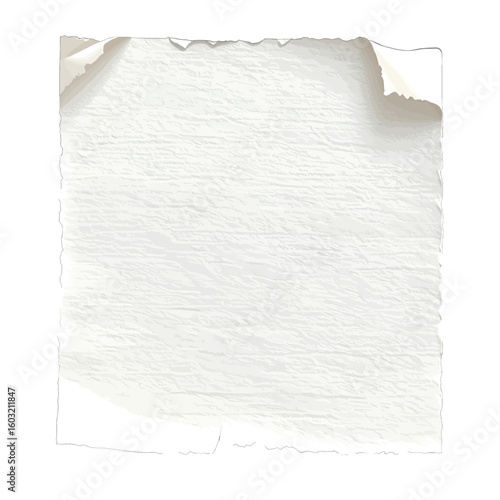 Blank White Torn Paper Texture Design
