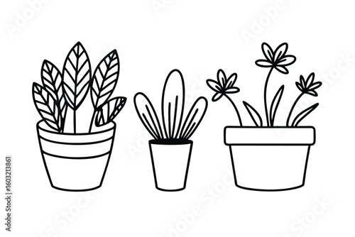 Doodle Flowerpots With Different Plant Types