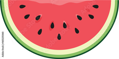 Watermelon slice vector illustration with red and green colors fresh summer fruit