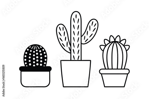 Cactus Plants In Modern Boho Style Pots