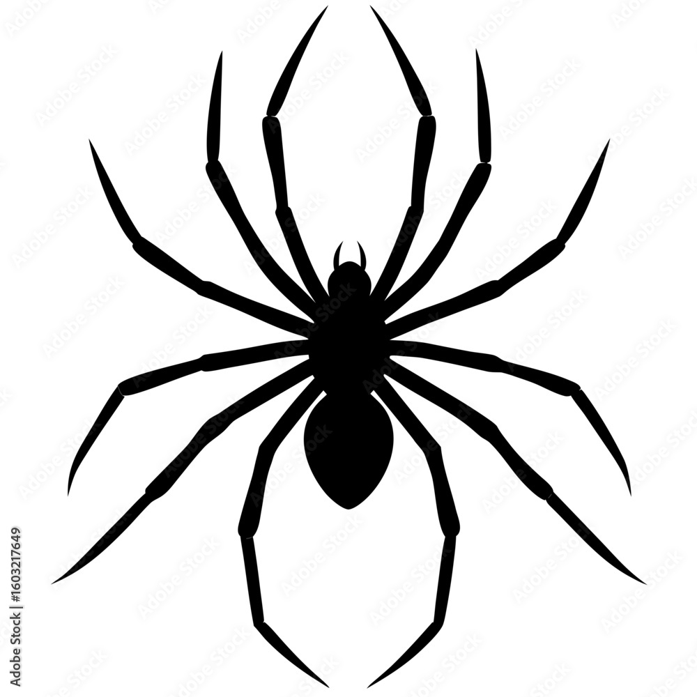Obraz premium Creepy Spider Outline Vector High-Quality for Halloween Decor, Digital Art & T-Shirts