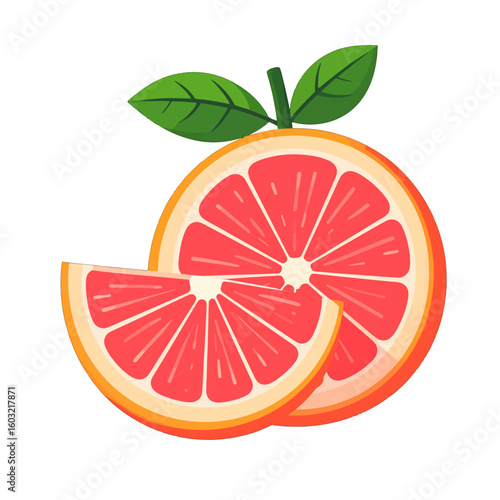 Fresh Red Grapefruit Slices Illustration