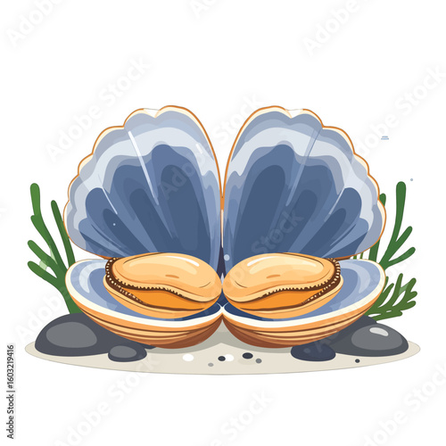 Open Clam Shell On Sand Background