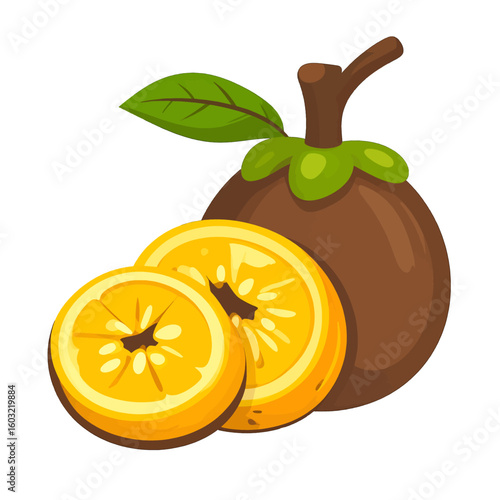 Colorful Illustration Of Mangosteen And Orange Slices