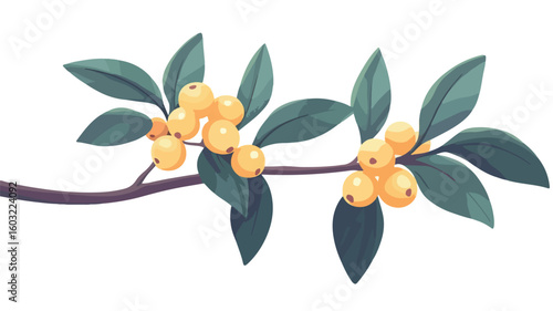Vibrant Sea Buckthorns Growing on Branch with Fresh Leaves