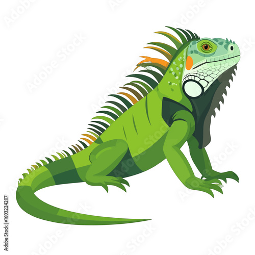 Colorful Iguana Illustration