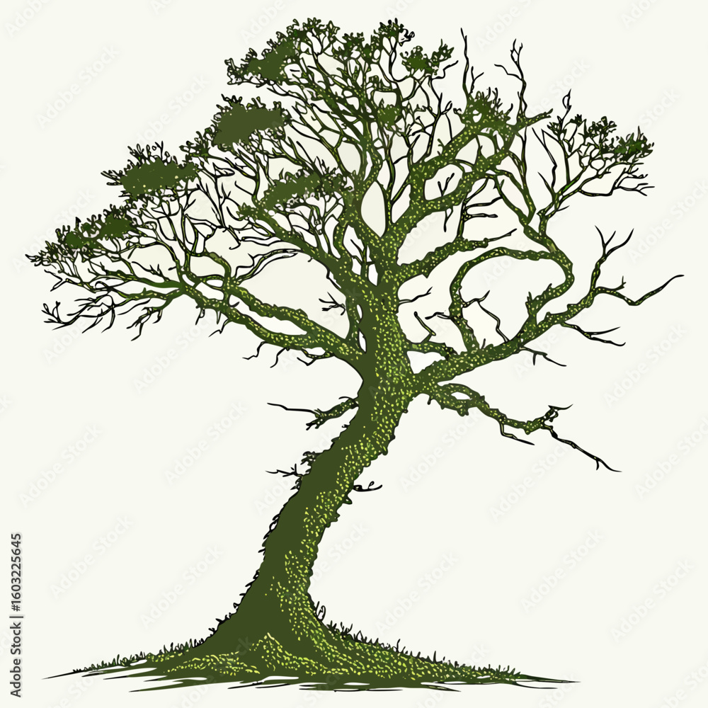 Fototapeta premium Stylized green tree with textured bark and sparse foliage