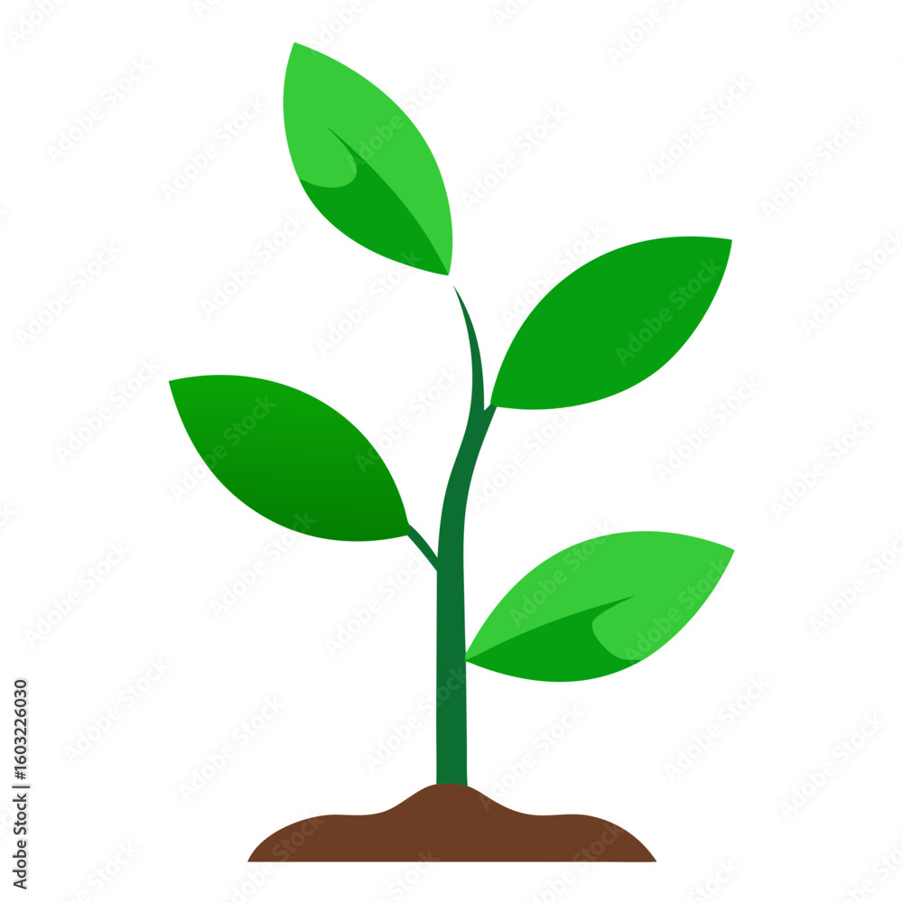Fototapeta premium Green plant growing from soil with multiple leaves