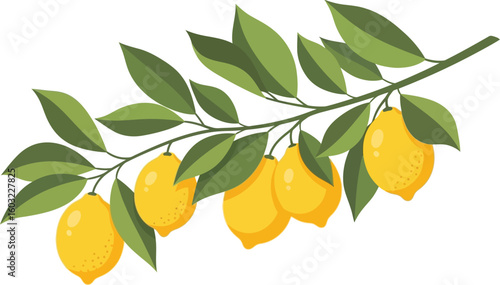 Illustration of a lemon branch with several lemons and green leaves on a white background