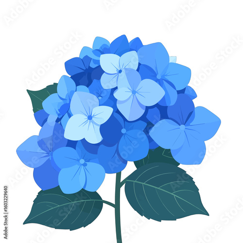 Beautiful Blue Hydrangea Flower Illustration